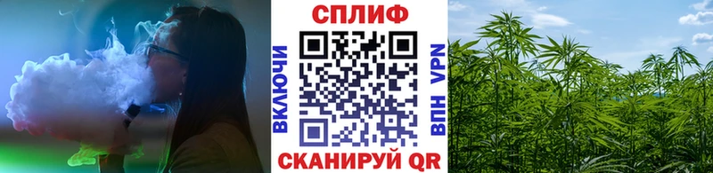 МАРИХУАНА ГИДРОПОН  Купить где  Цивильск 